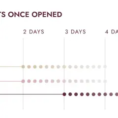 Grafico che mostra quanto il vino scade una volta aperto: spumante meno di 1 giorno, bianco/rosé 2-4 giorni, rosso 3-6 giorni.