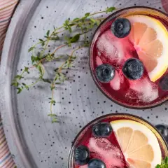 Due bicchieri di Negroni Sbagliato con mirtilli, limone e ghiaccio, perfetti per gustare i suoi ingredienti.