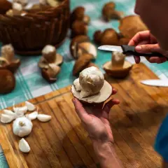 Mani che puliscono funghi freschi su un tagliere di legno, con aglio e un cesto di funghi sullo sfondo. Impara come pulire i funghi per gustarli al meglio.