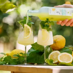 Un rinfrescante amalfi spritz viene versato in due bicchieri con limone e menta, circondati da limoni freschi e foglie verdi.