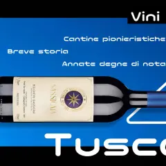 Vino toscana: bottiglia di Sassicaia, cantine pionieristiche e annate degne di nota.
