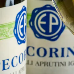 Vino Pecorino, un'origine abruzzese che si svela in bottiglia e nel calice.