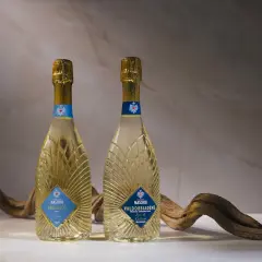 Due bottiglie di Prosecco Maschio, una DOC Treviso e l'altra Valdobbiadene DOCG, con un ramo secco. Scopri come si fa il Prosecco.