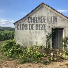 Capanna in vigneto con scritta "CHAMBERTIN CLOS DE BEZE", che evoca il significato di grand cru, eccellenza vinicola.