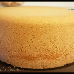 Un pan di spagna sofficissimo con lievito, dalla consistenza ariosa e dorata, pronto per essere farcito.
