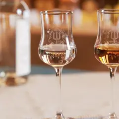 Due bicchieri di grappa, uno trasparente e uno ambrato, mostrano diversi tipi di grappa.