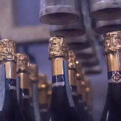 Bottiglie di Prosecco pronte per essere imbottigliate. Chissà quanti gradi ha il Prosecco che uscirà da queste bottiglie?