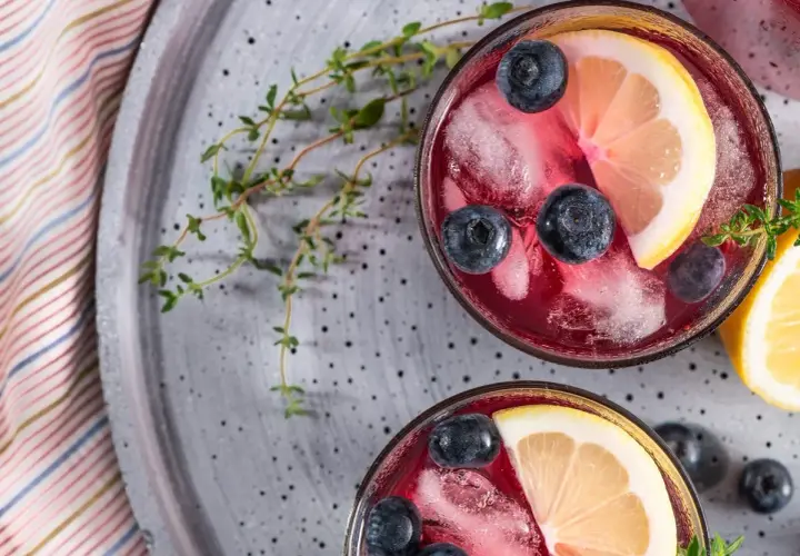 Due bicchieri di Negroni Sbagliato con mirtilli, limone e ghiaccio, perfetti per gustare i suoi ingredienti.