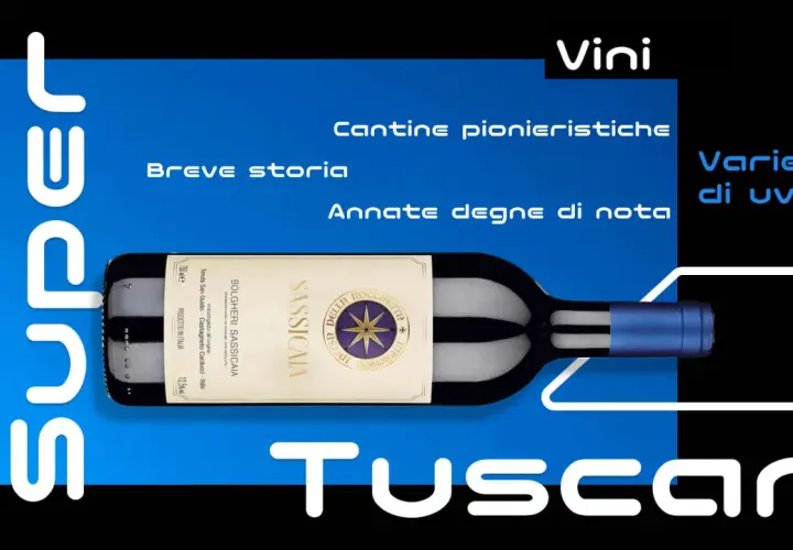 Vino toscana: bottiglia di Sassicaia, cantine pionieristiche e annate degne di nota.