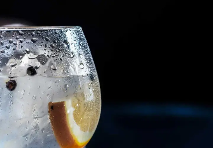 Bicchiere di gin tonic con ghiaccio, bacche di ginepro e fetta d'arancia. La **soda per spritz** rinfrescante crea goccioline sul vetro.
