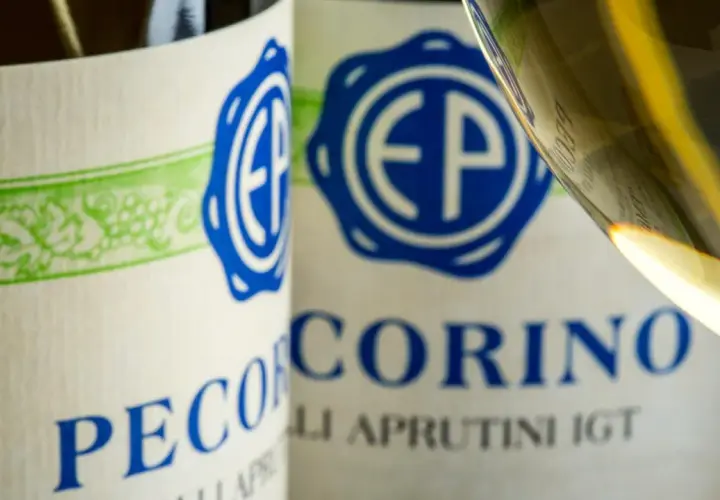 Vino Pecorino, un'origine abruzzese che si svela in bottiglia e nel calice.