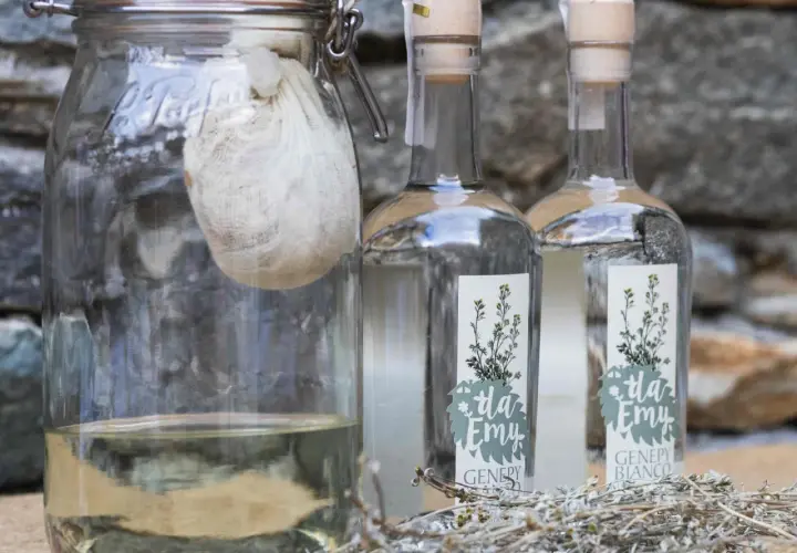 Vaso con infuso di erbe e due bottiglie di genepy, pronti per la ricetta.
