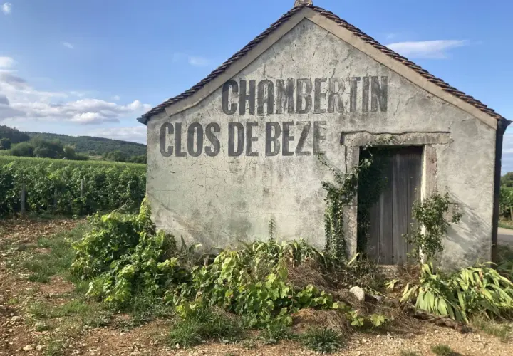 Capanna in vigneto con scritta "CHAMBERTIN CLOS DE BEZE", che evoca il significato di grand cru, eccellenza vinicola.