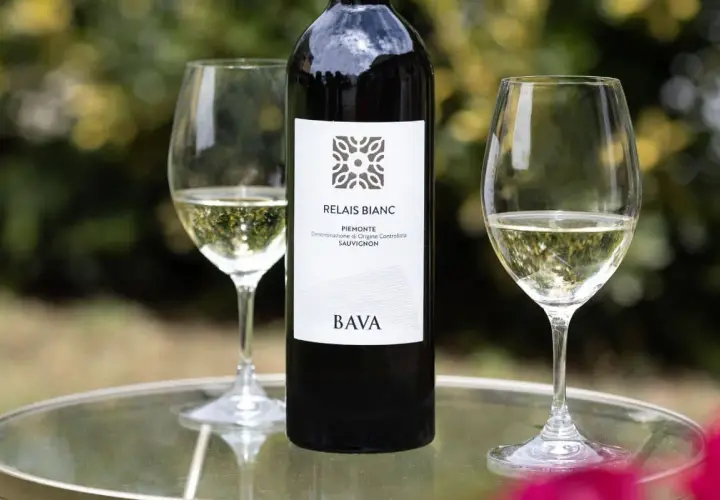 BOTTIGLIA E DUE CALICI DI SAUVIGNON BLANC BAVA. Perfetto per scoprire i migliori sauvignon blanc abbinamenti con pesce e verdure.