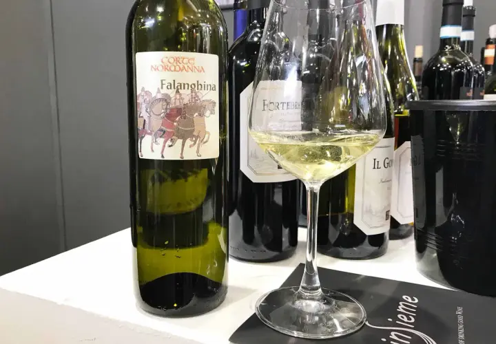 Calice di Falanghina con bottiglia e altre etichette. Perfetto per scoprire i falanghina abbinamenti con piatti di pesce e formaggi freschi.