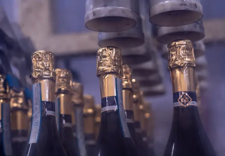 Bottiglie di Prosecco pronte per essere imbottigliate. Chissà quanti gradi ha il Prosecco che uscirà da queste bottiglie?