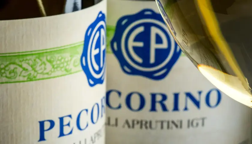 Vino Pecorino, un'origine abruzzese che si svela in bottiglia e nel calice.