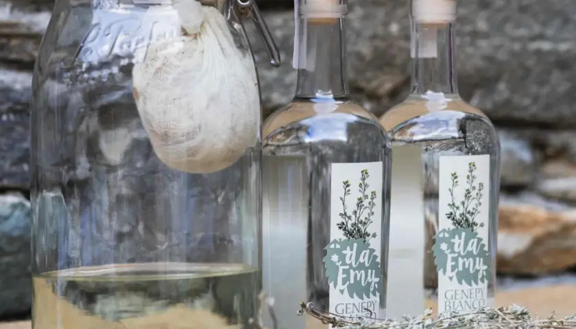 Vaso con infuso di erbe e due bottiglie di genepy, pronti per la ricetta.