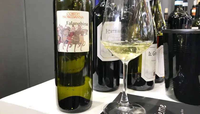 Calice di Falanghina con bottiglia e altre etichette. Perfetto per scoprire i falanghina abbinamenti con piatti di pesce e formaggi freschi.