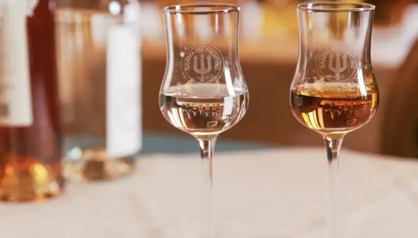 Due bicchieri di grappa, uno trasparente e uno ambrato, mostrano diversi tipi di grappa.