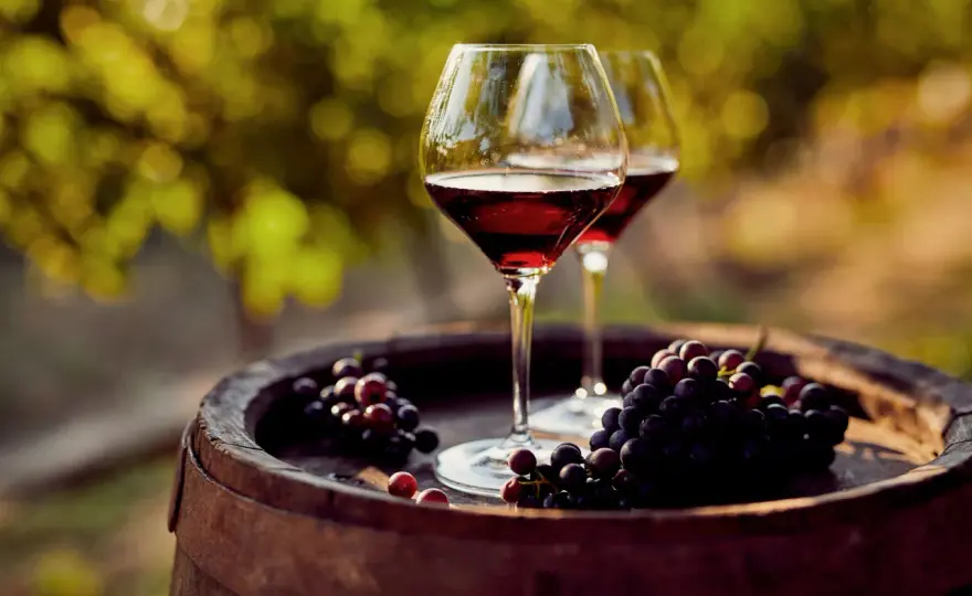 Come si fa il vino novello e come servirlo al meglio