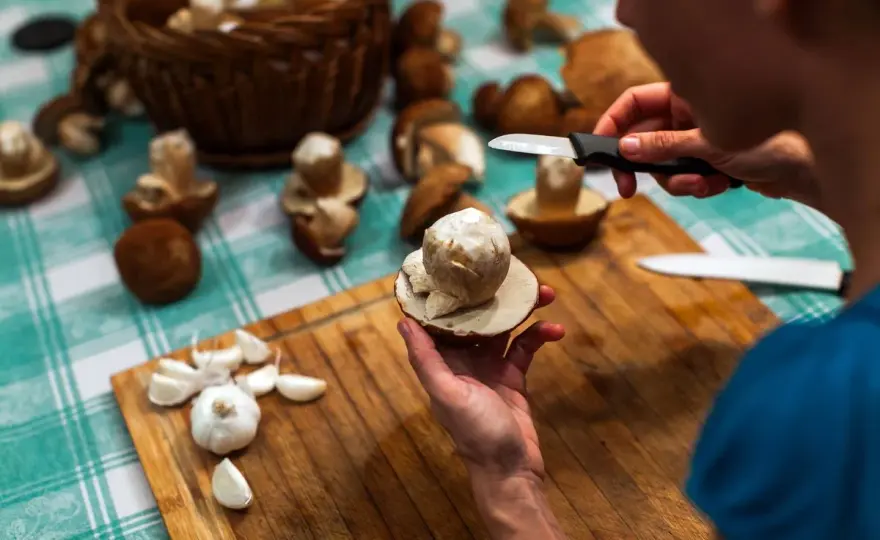 Come pulire i funghi senza rovinarli, varietà per varietà