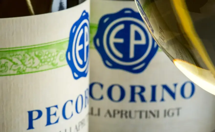 Vino Pecorino, storia, denominazioni e abbinamenti