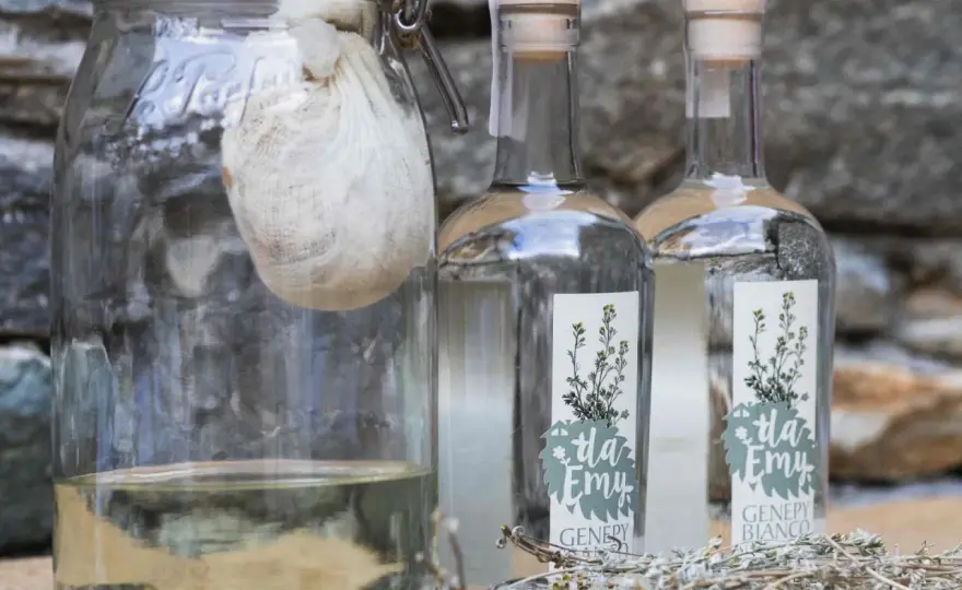 Genepy fatto in casa, la ricetta per un liquore equilibrato