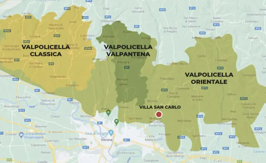 Da dove viene l’Amarone? Origine e zone della Valpolicella