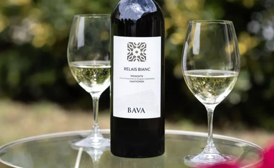 Sauvignon Blanc a tavola, gli abbinamenti che funzionano davvero