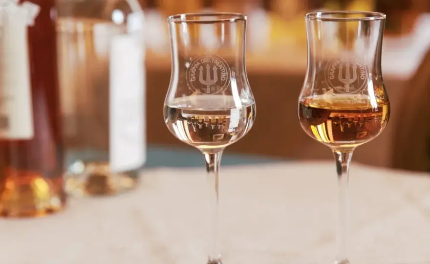 Tipi di grappa - guida a giovane, invecchiata e monovitigno