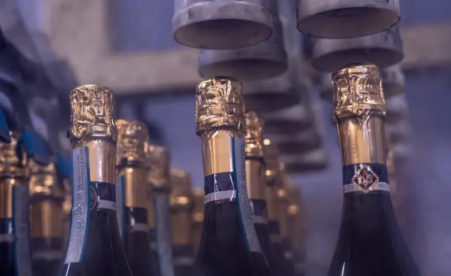 Quanti gradi ha il Prosecco? Guida a tipologie ed etichette