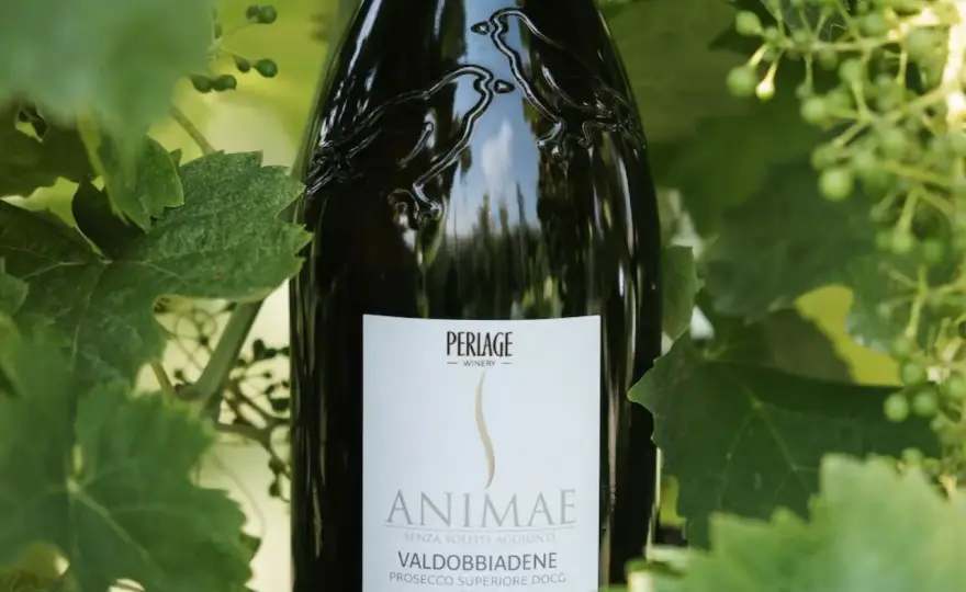 Quale Prosecco scegliere? Brut, Extra Dry e tipologie