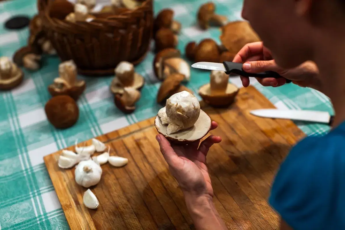 Mani che puliscono funghi freschi su un tagliere di legno, con aglio e un cesto di funghi sullo sfondo. Impara come pulire i funghi per gustarli al meglio.