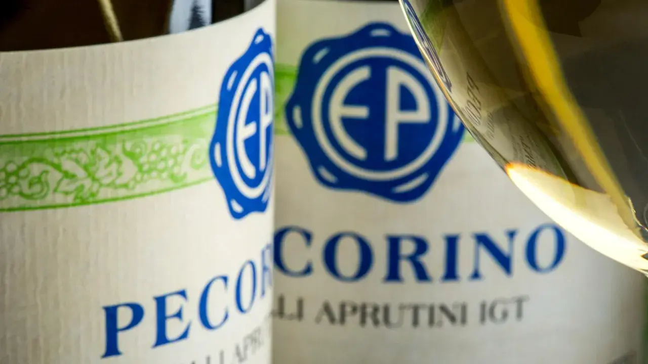 Vino Pecorino, un'origine abruzzese che si svela in bottiglia e nel calice.