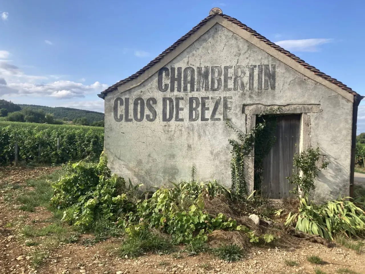 Capanna in vigneto con scritta "CHAMBERTIN CLOS DE BEZE", che evoca il significato di grand cru, eccellenza vinicola.