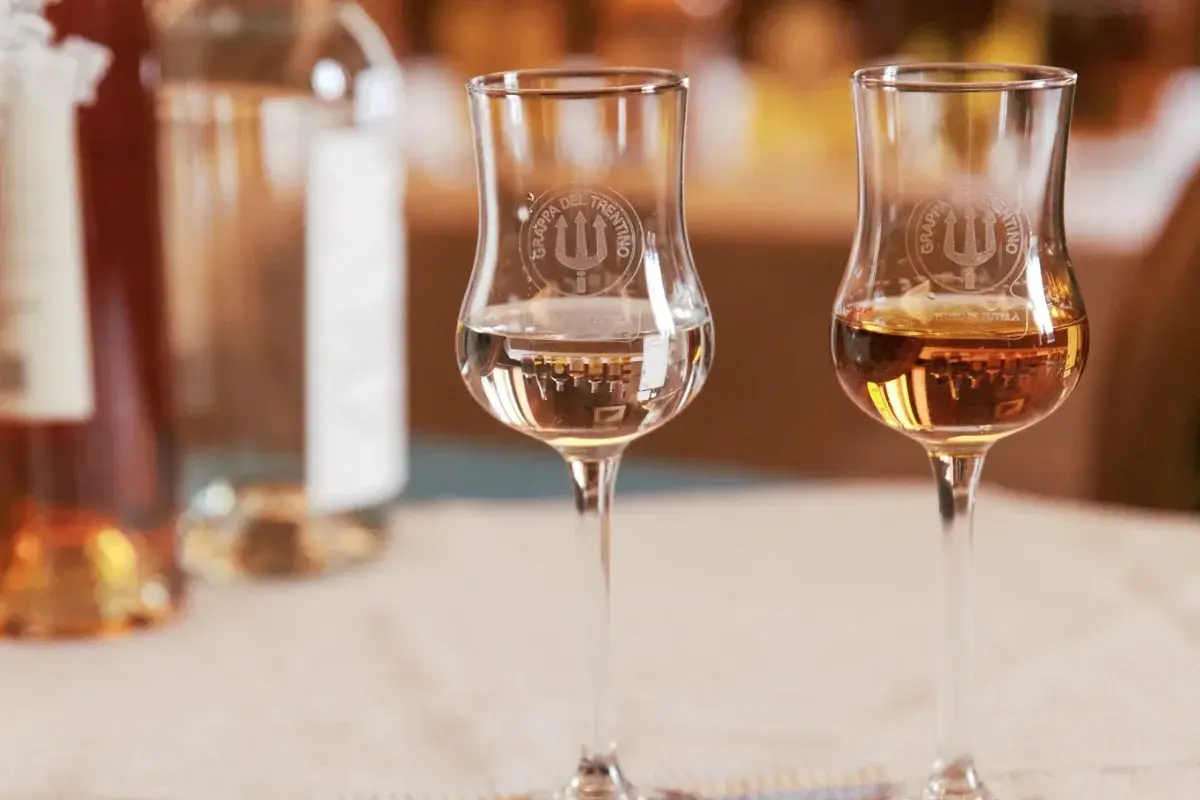 Due bicchieri di grappa, uno trasparente e uno ambrato, mostrano diversi tipi di grappa.