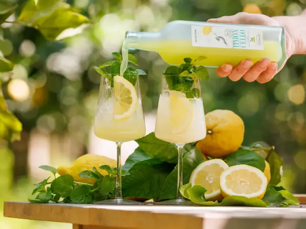 Un rinfrescante amalfi spritz viene versato in due bicchieri con limone e menta, circondati da limoni freschi e foglie verdi.